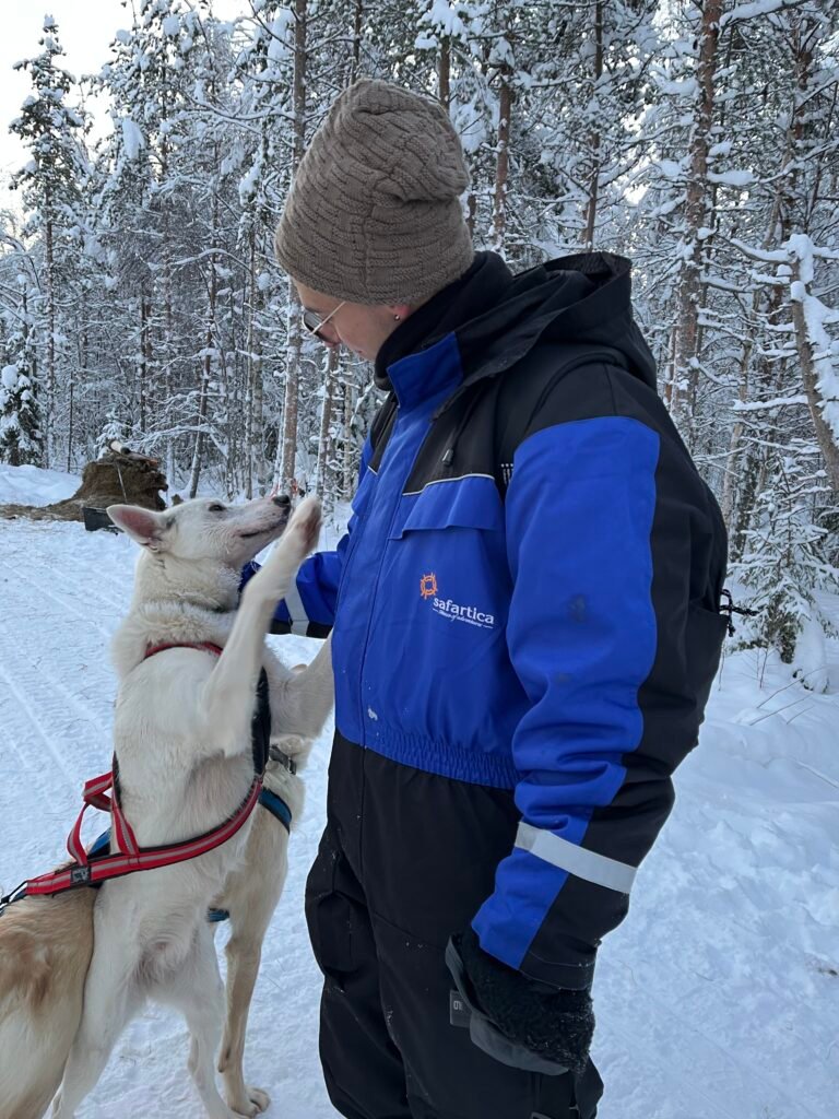 Escursione Husky lapponia finlandese